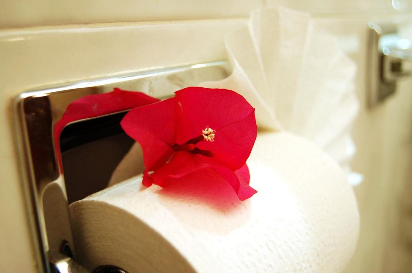 Del Principado-Mexico-Ciudad De Mexico-Room-4