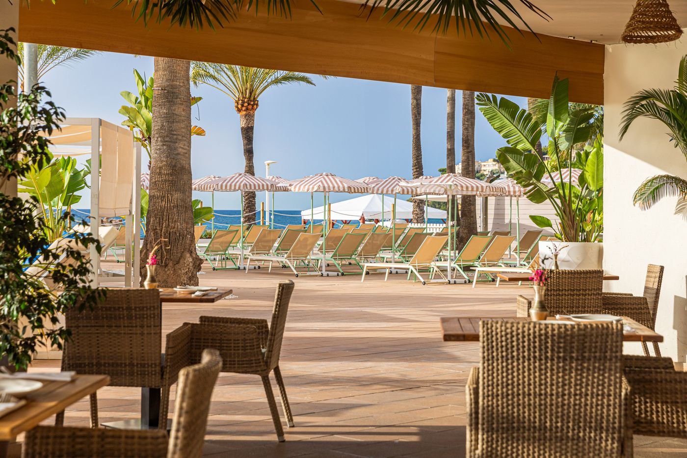 Sol House The Studio