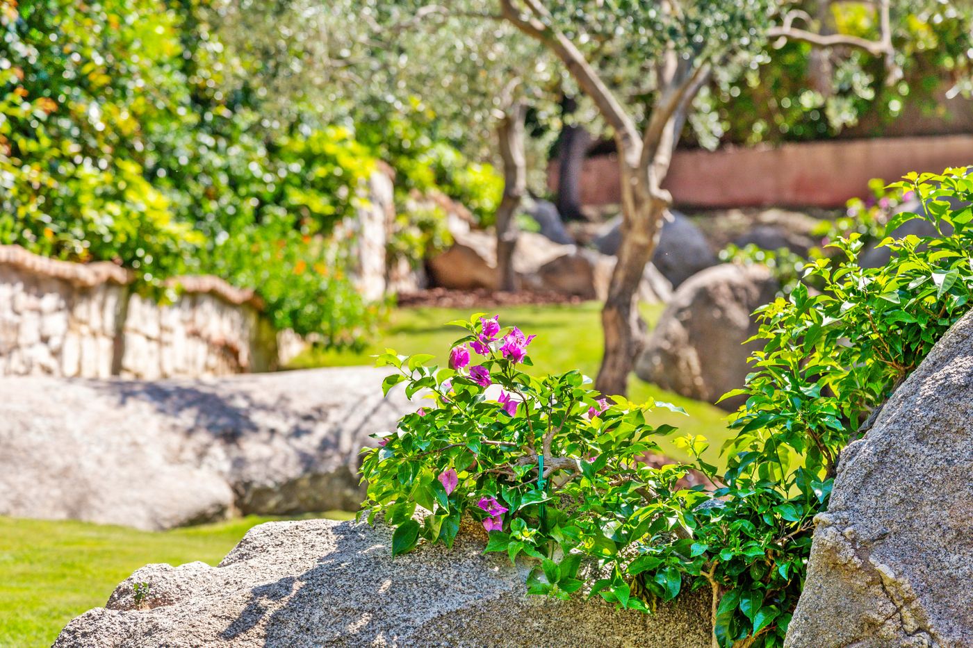 Club-Hotel-Saraceno-Room-69