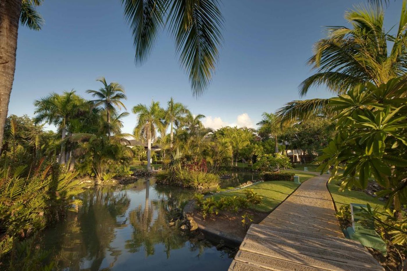 Melia Caribe Tropical