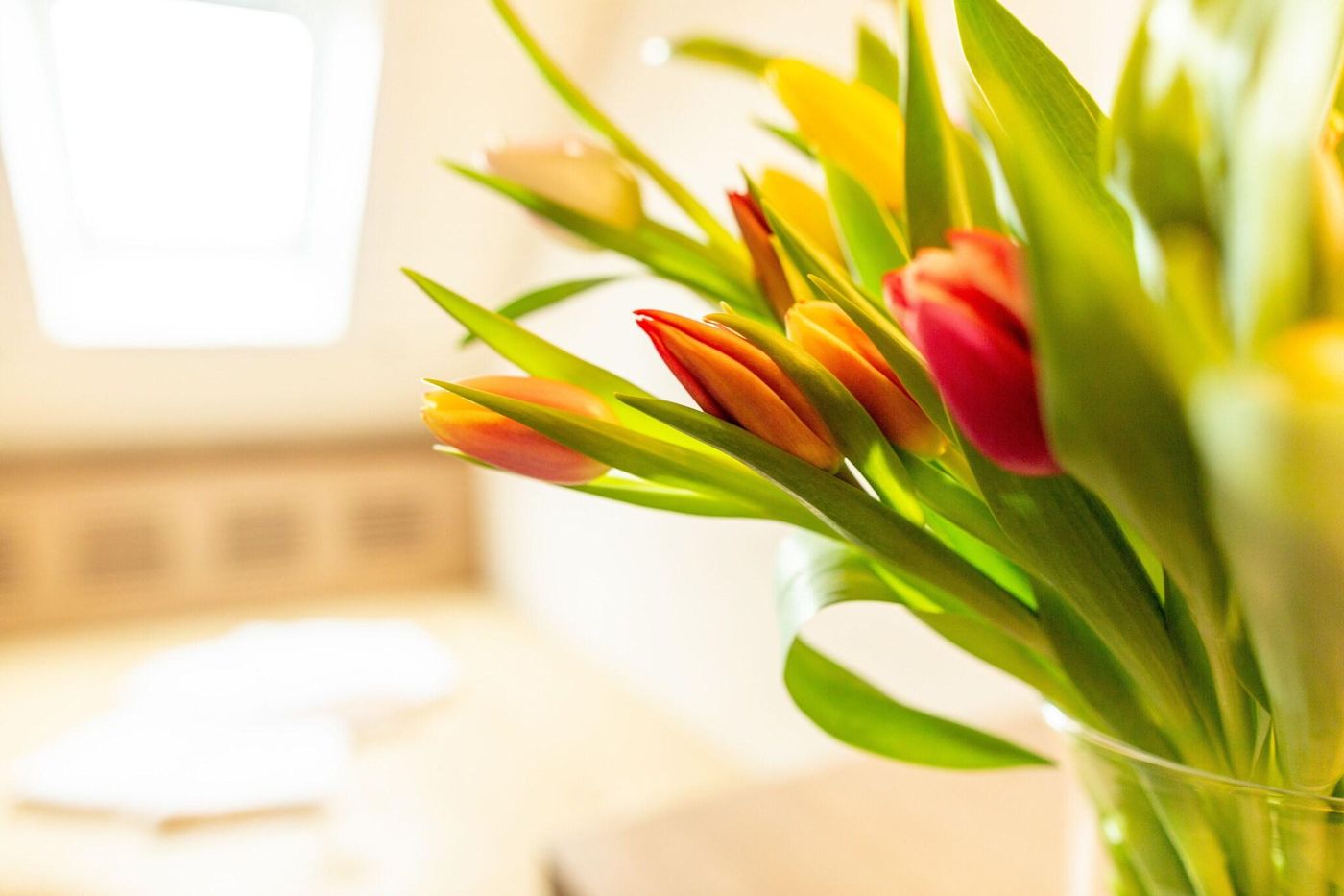 Alexander-Switzerland-BASEL-Lobby-8