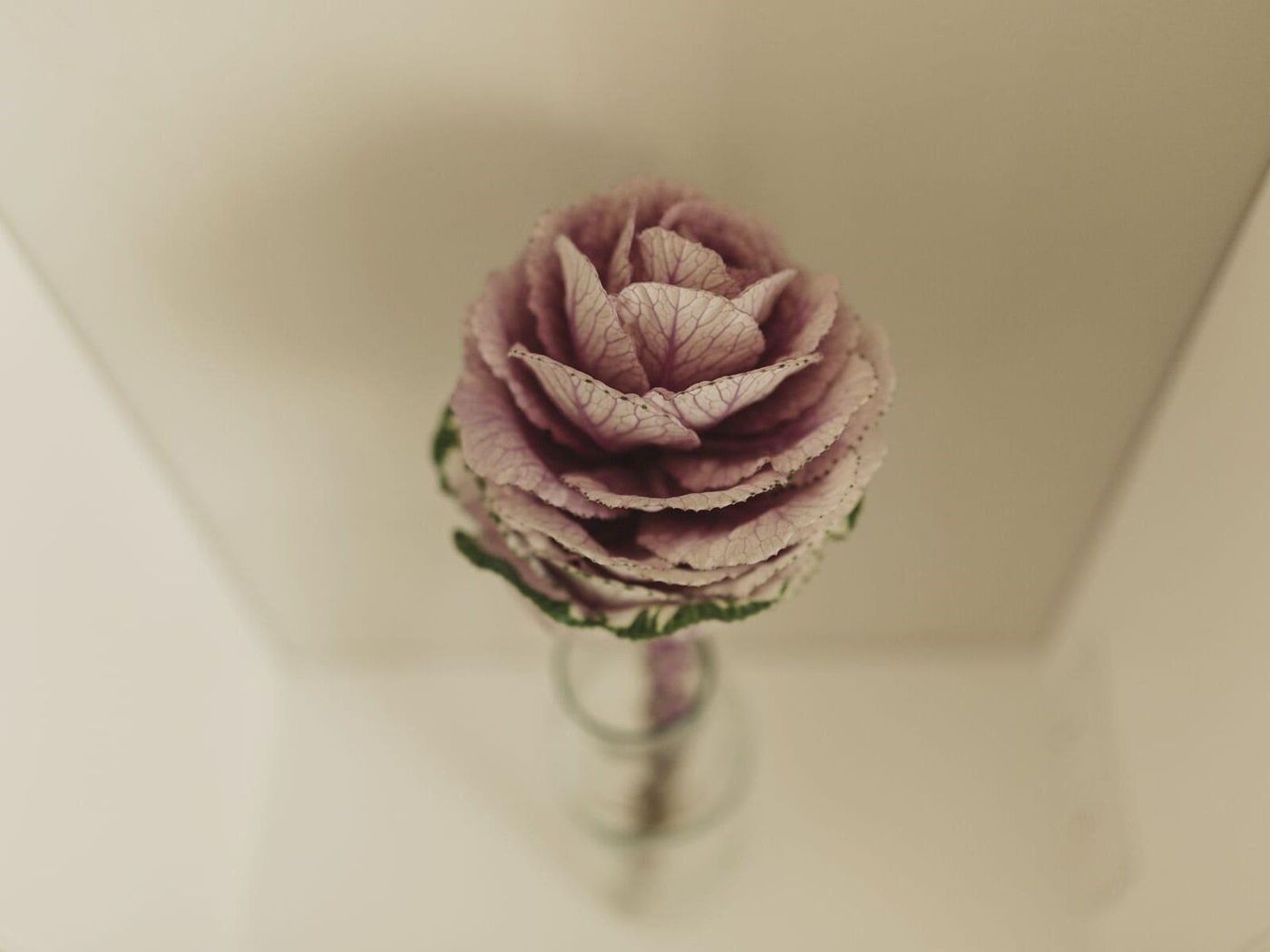 Livingstone-Italy-MATERA-General view-10