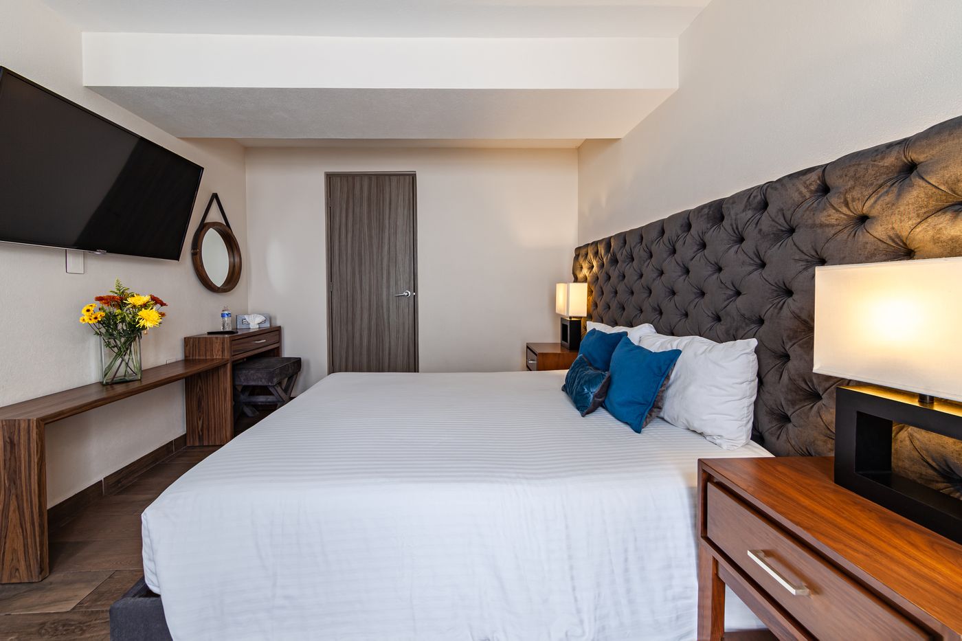 Suites Río Elba-Mexico-CIUDAD DE MEXICO-Room-6