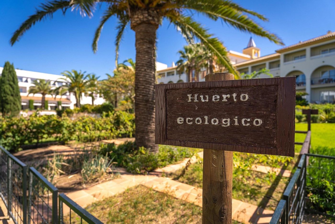 Hotel-Fuerte-Conil-Costaluz-Terrace-25