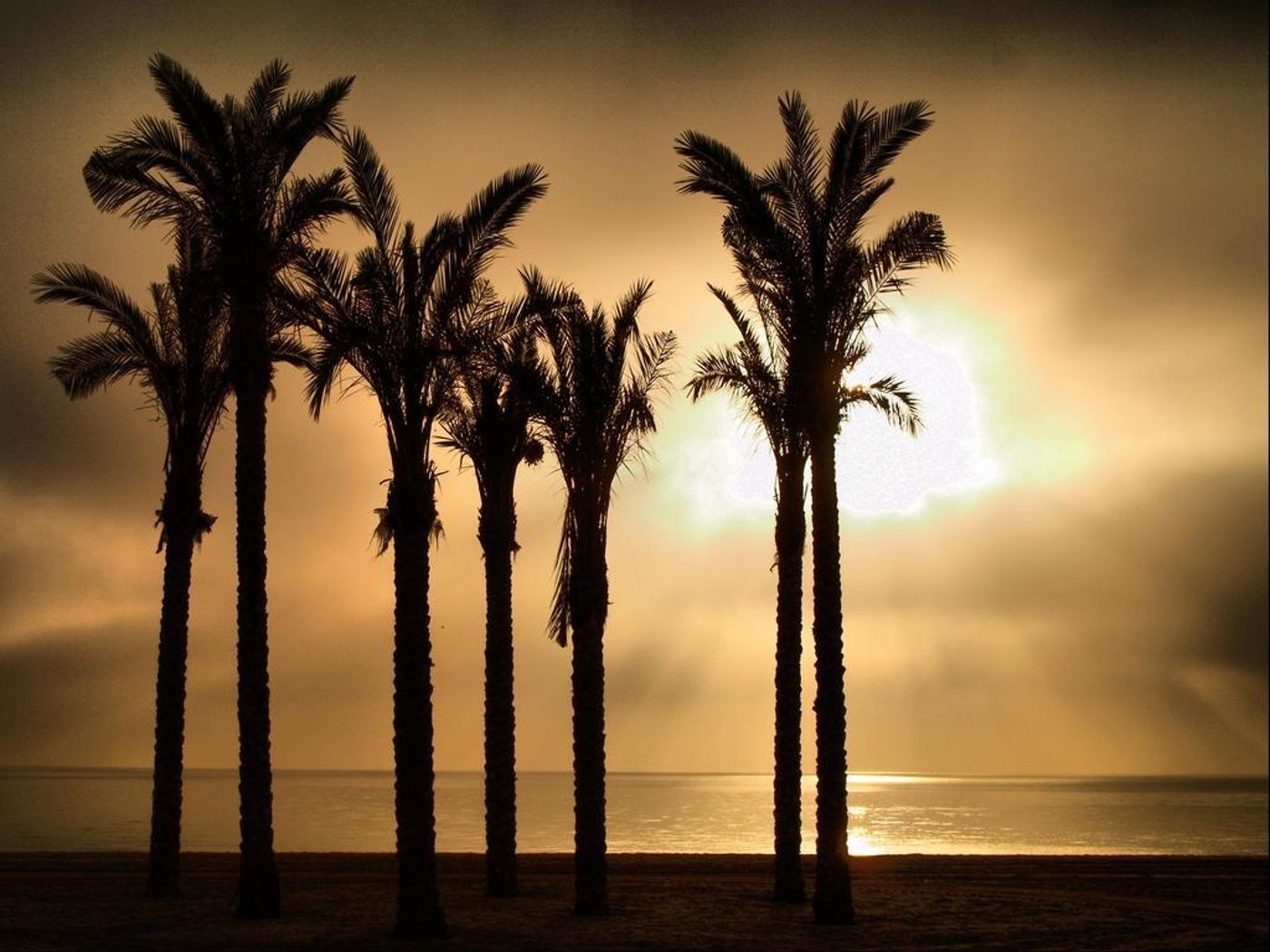 Estrella-de-Mar-General-view-11