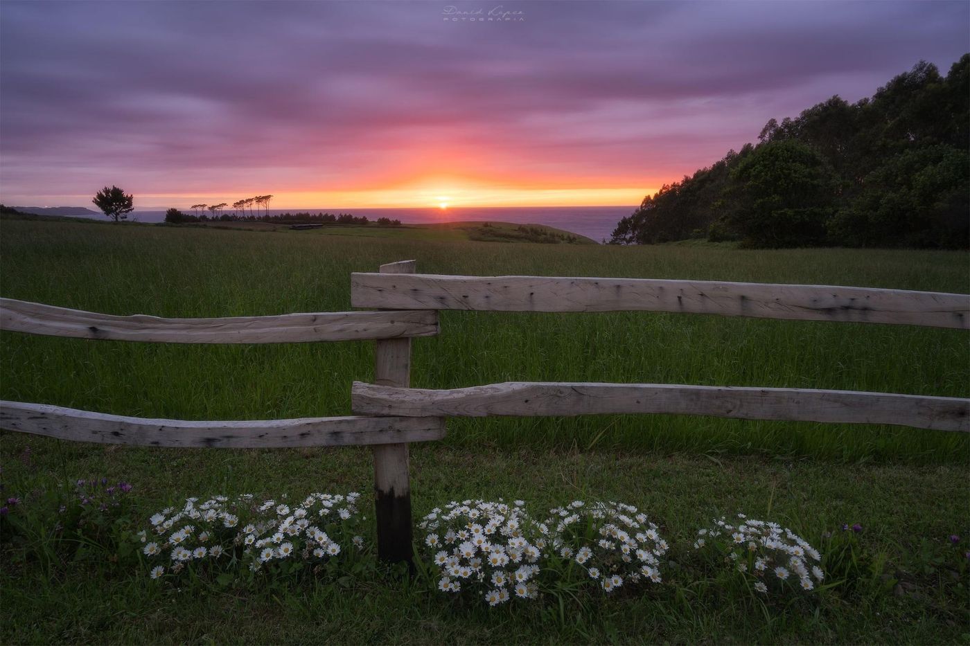 Hotel Rural La Sobreisla-Spain-NAVIA-General view-6