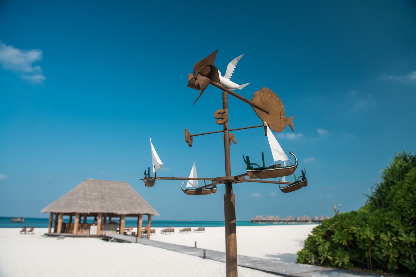 Coco Palm Dhuni Kolhu