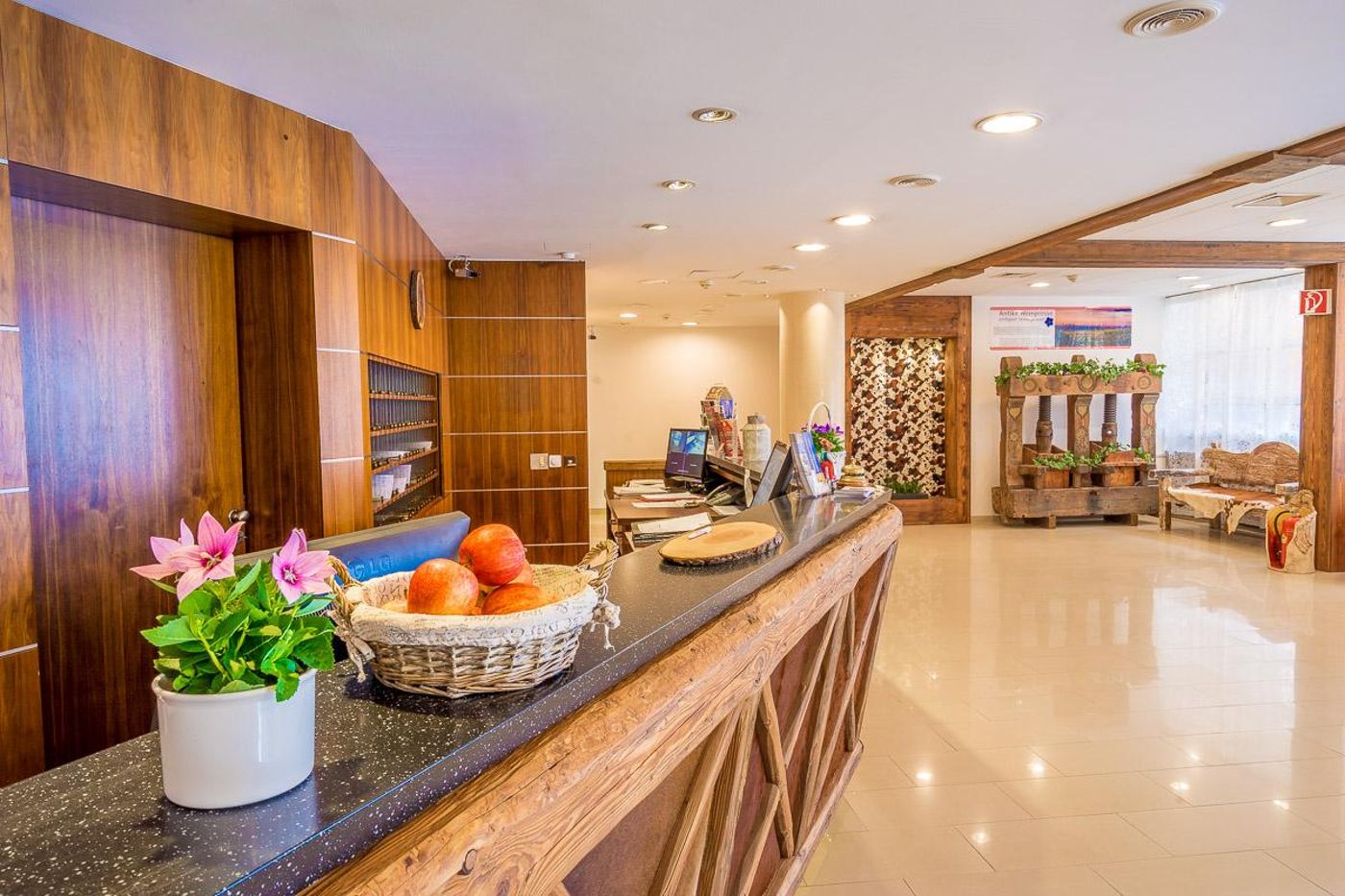 Hotel Enziana Wien - Austria - VIENNA - Lobby - 5