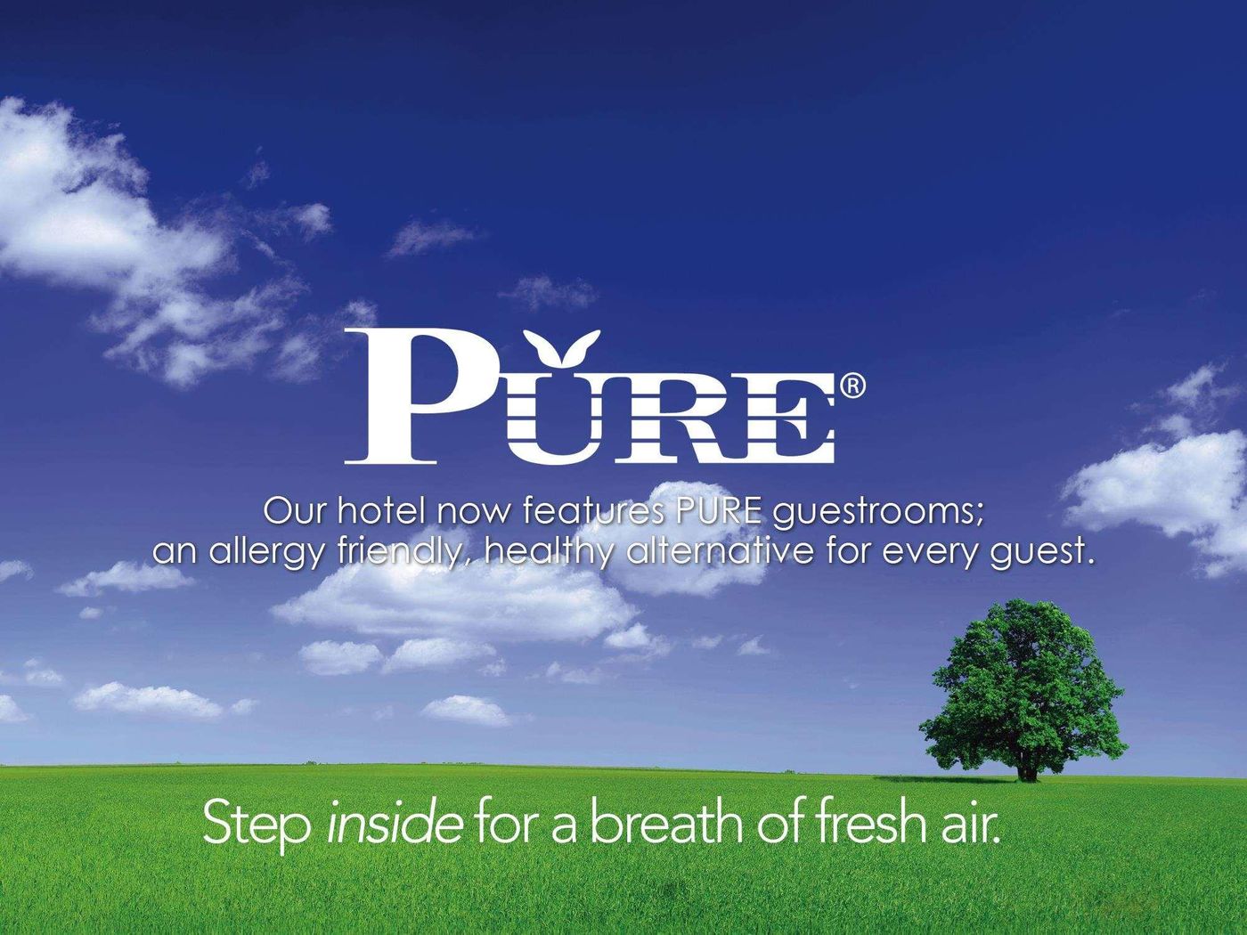 Hilton-New-York-Times-Square-Room-8