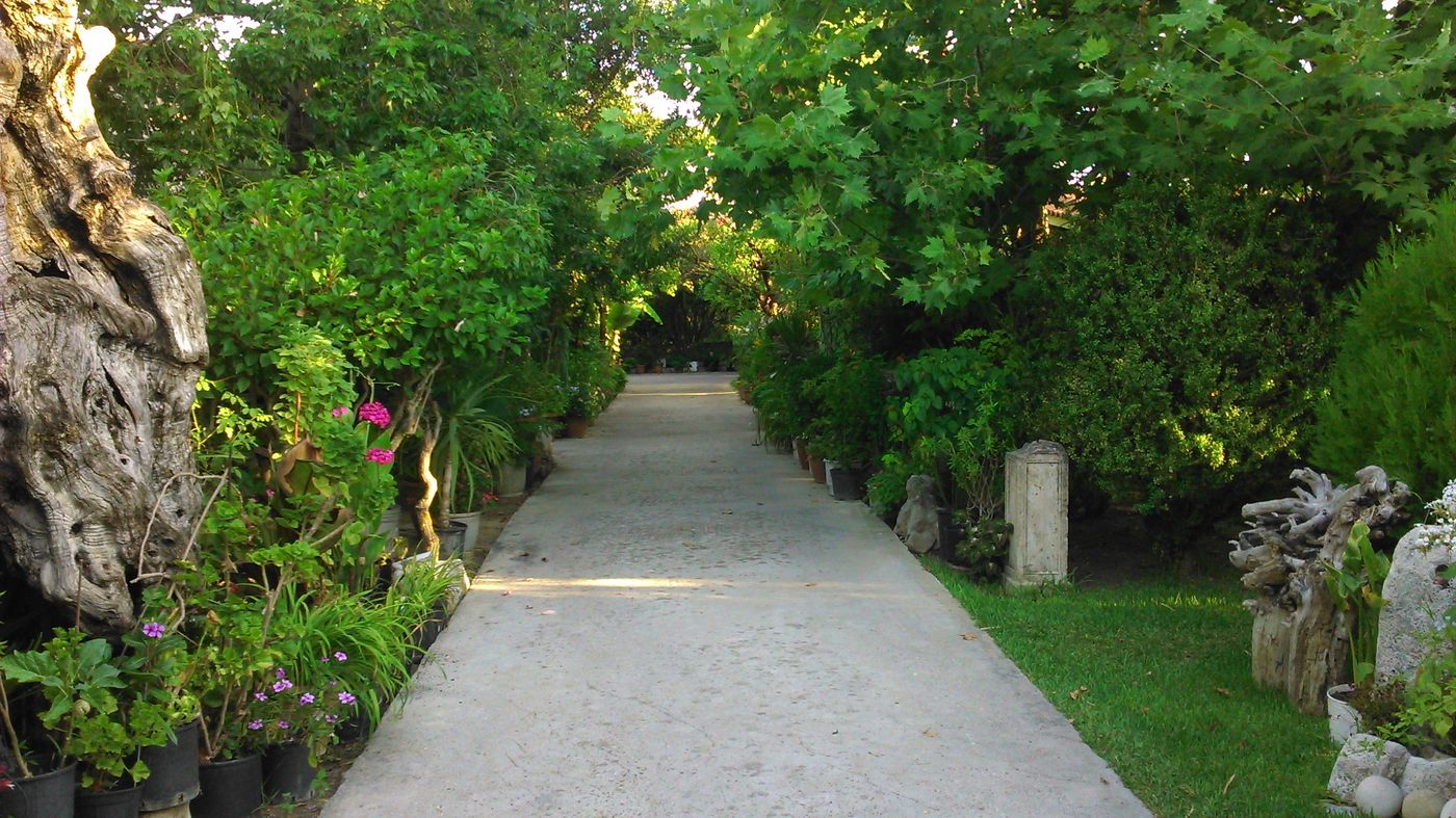 Baha-Ammes-General-view-10