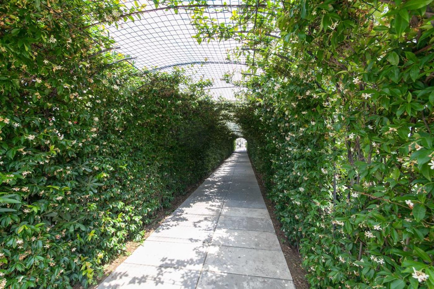 Grand Hotel Da Vinci-Italy-CESENATICO-General view-3