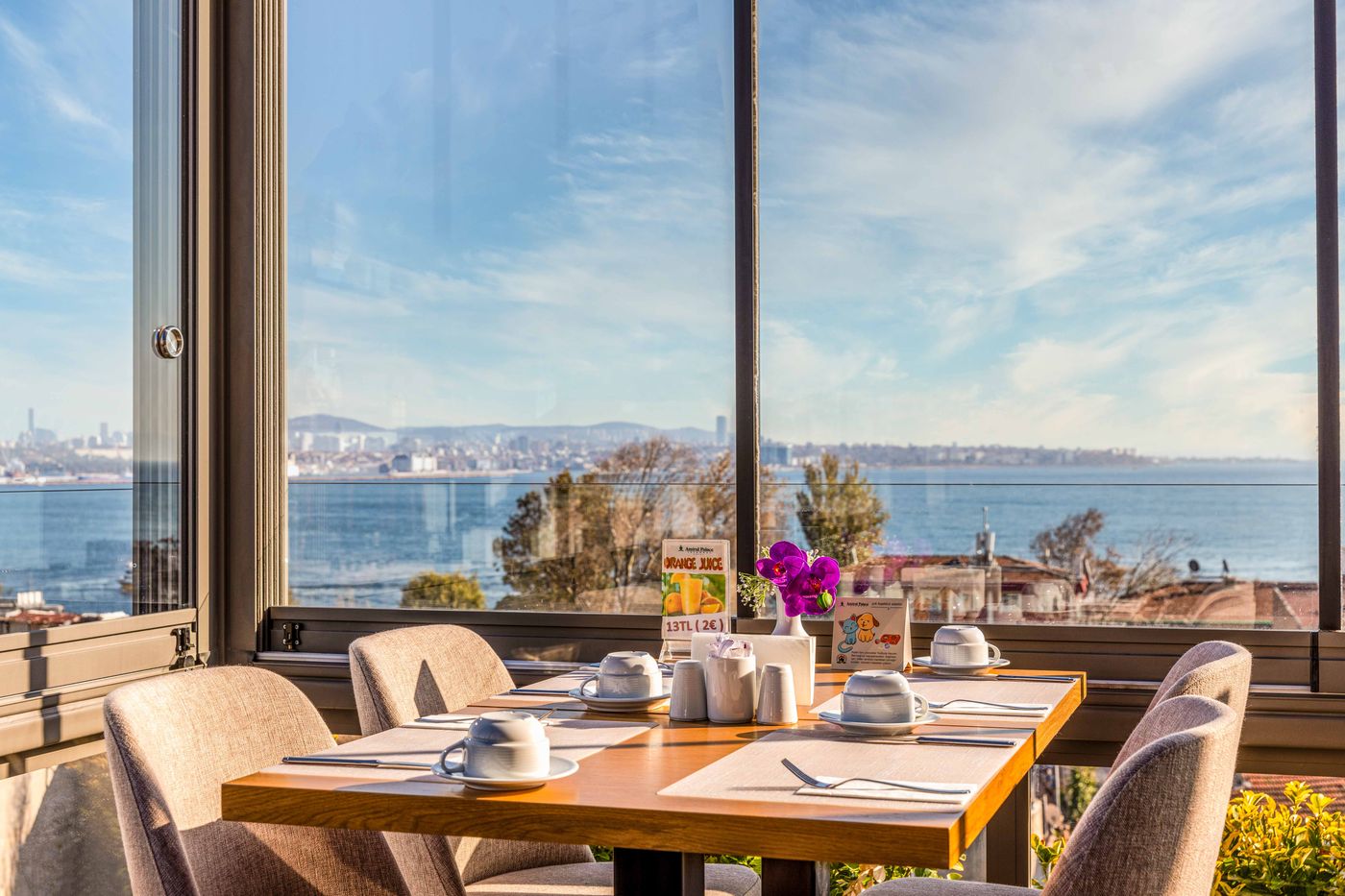 Amiral-Palace-Terrace-93