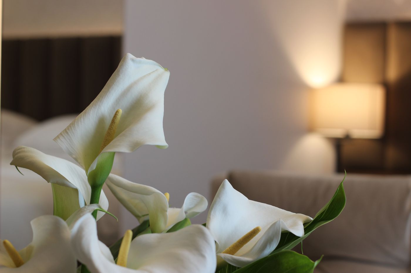 Riva Hotel Nisantasi-Turkey-NISANTASI/ISTANBUL-Room-5