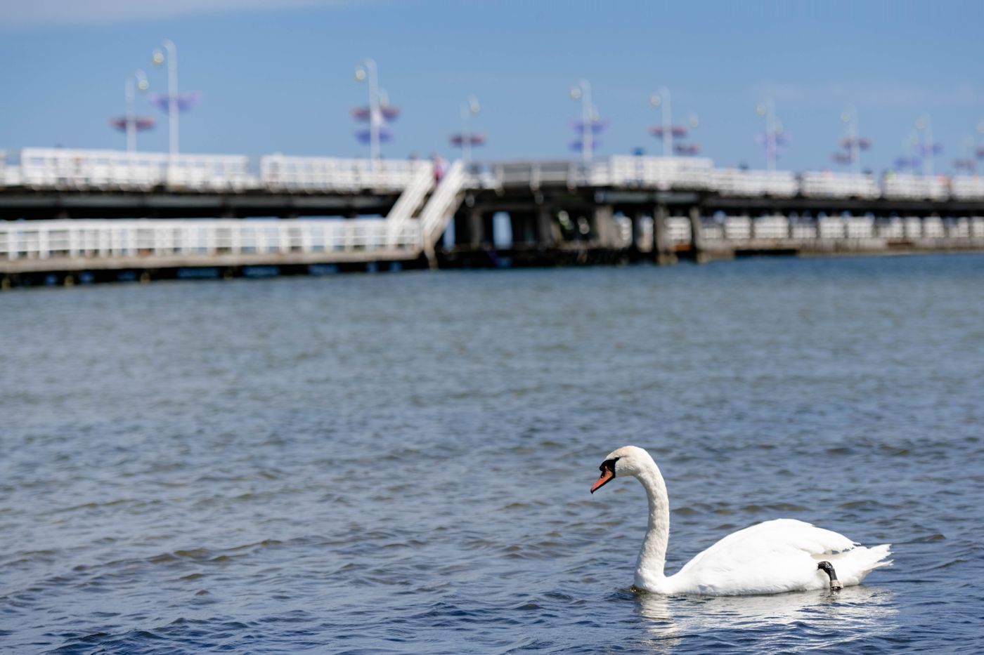 Villa Sedan - Destigo Hotels - Poland - SOPOT - Beach - 1