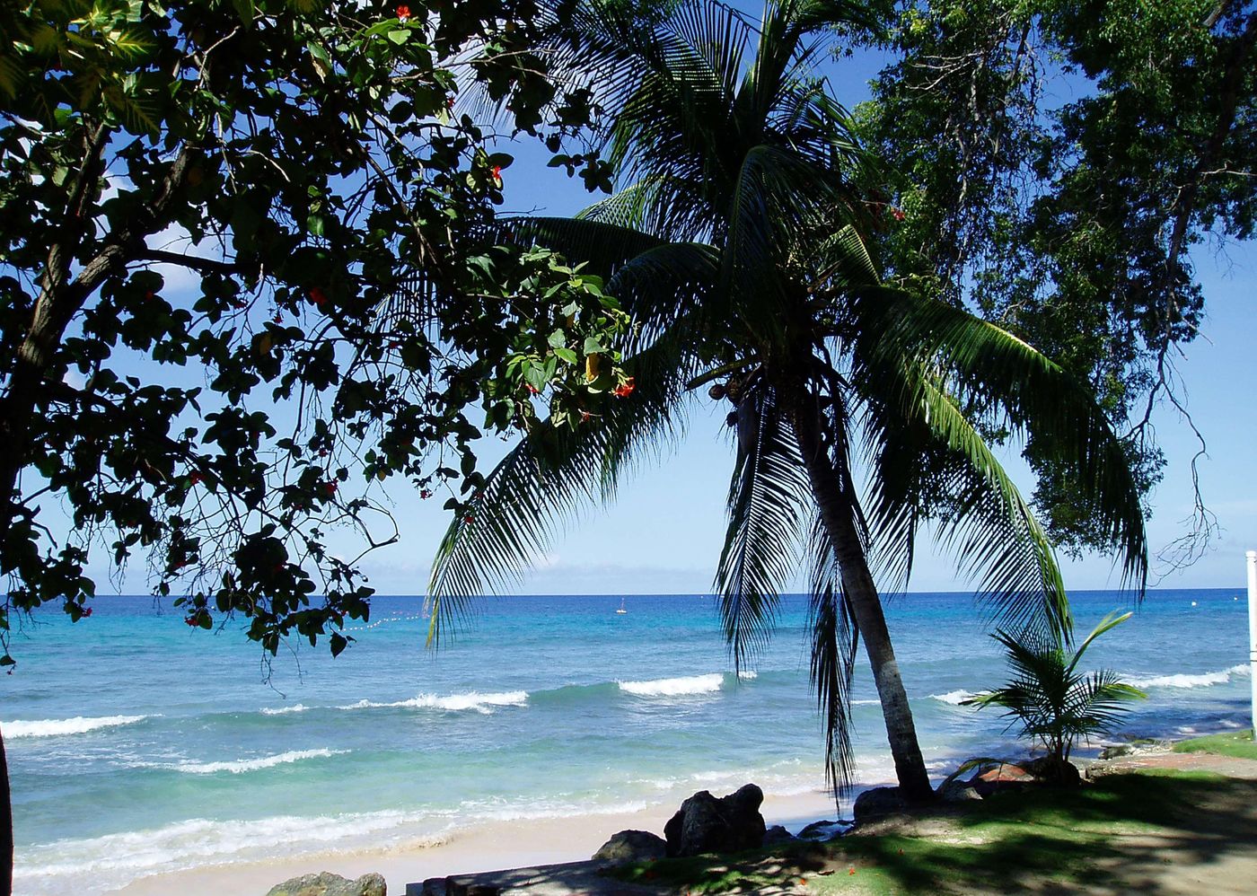 Divi-Southwinds-Beach-Resort-Beach-48