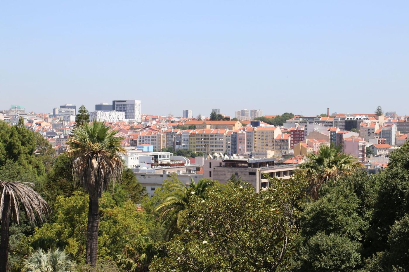 Botanic Views Guest House-Portugal-LISBON-General view-7