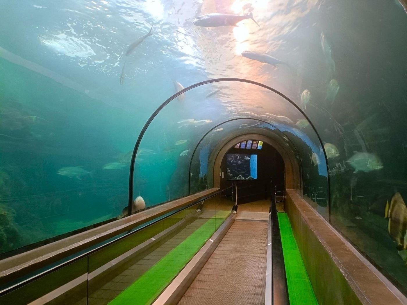 Crowne-Plaza-Phuket-Panwa-Beach-Sports-and-Entertainment-102