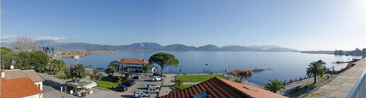 Butterfly-General-view-4