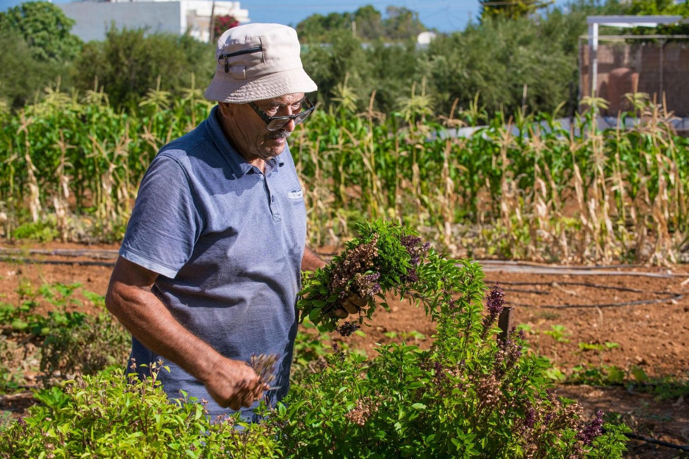 Hara-Ilios-Village-General-view-83