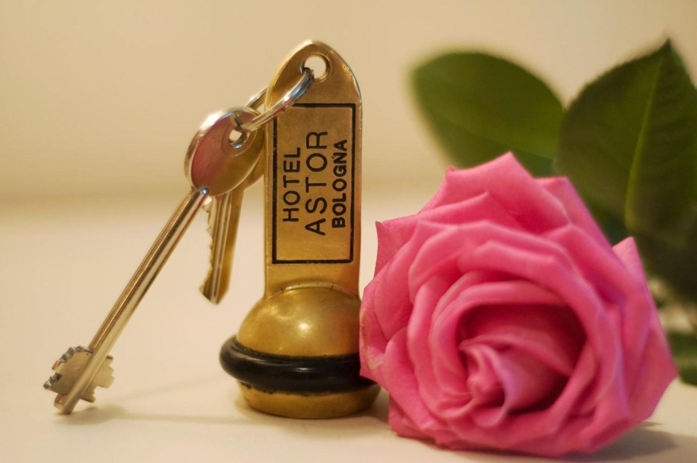 Hotel Astor - Italy - BOLOGNA - Lobby - 4