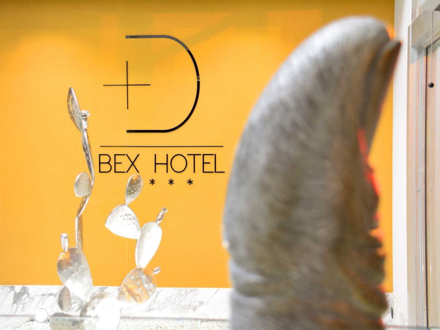Design Plus Bex Hotel_2
