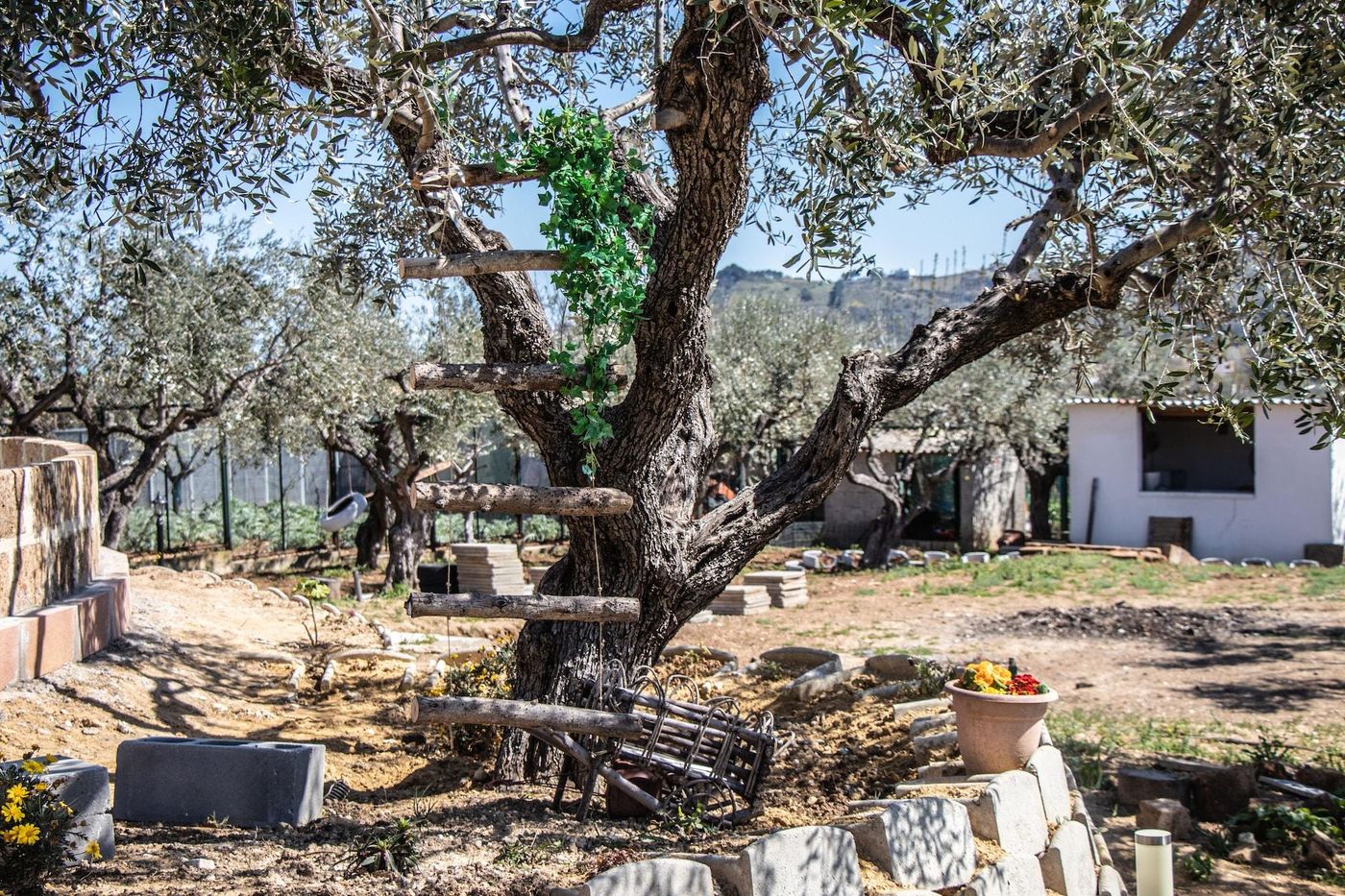 Villa Paola-Italy-FRANCAVILLA AL MARE-General view-3