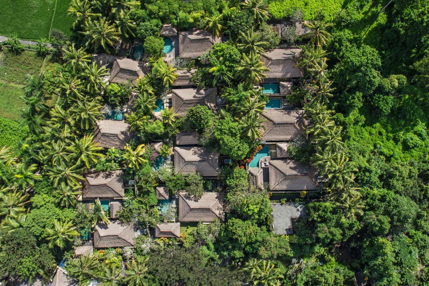 The Ubud Village Resort & Spa-Indonesia-BALI-General view-2