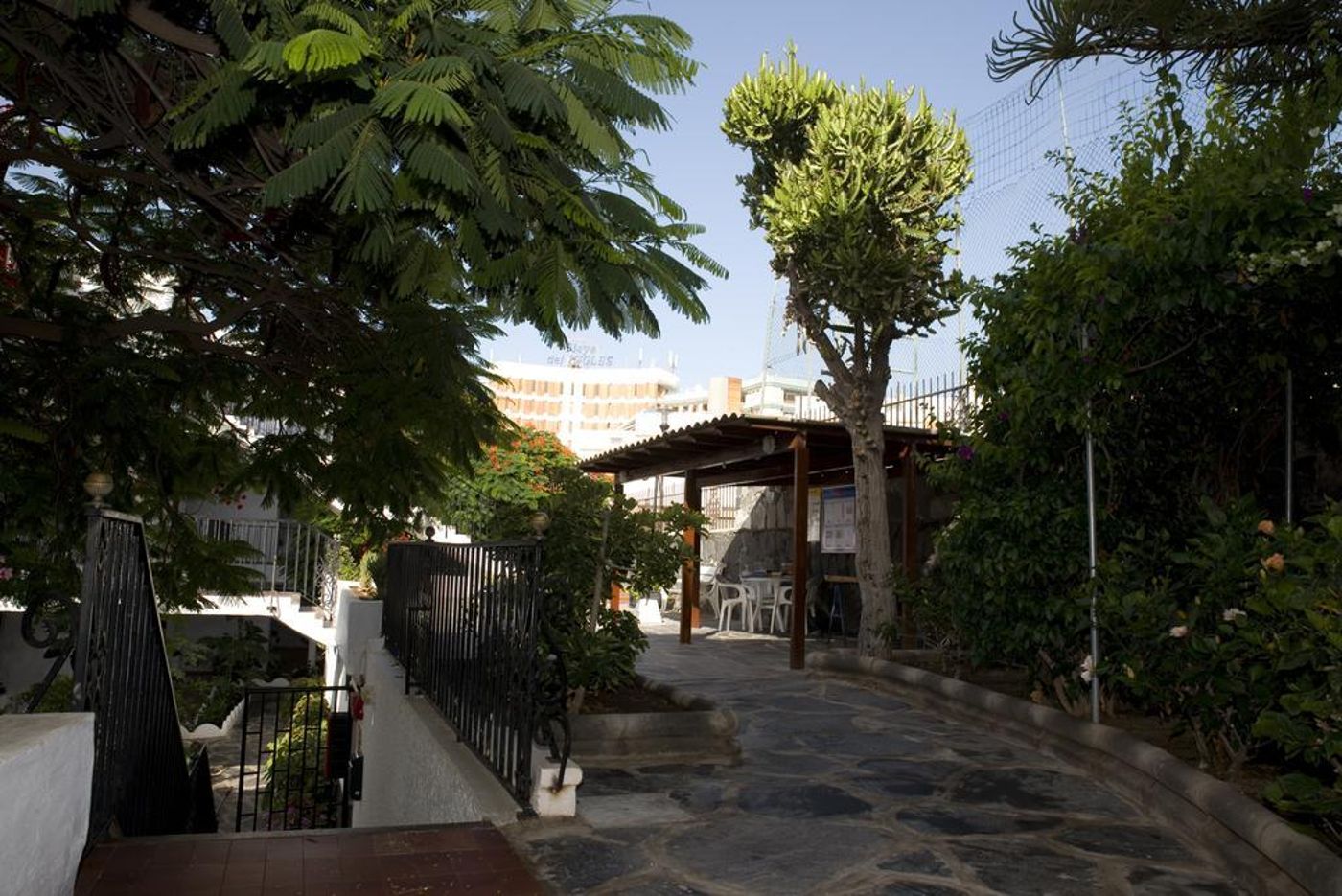 Las-Orquideas-General-view-19