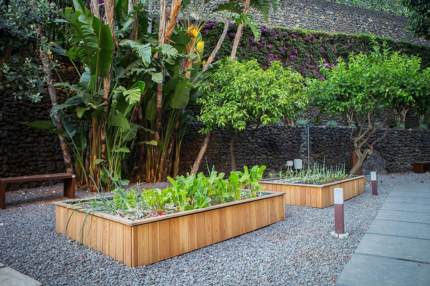 Sheraton-Catania-Terrace-15