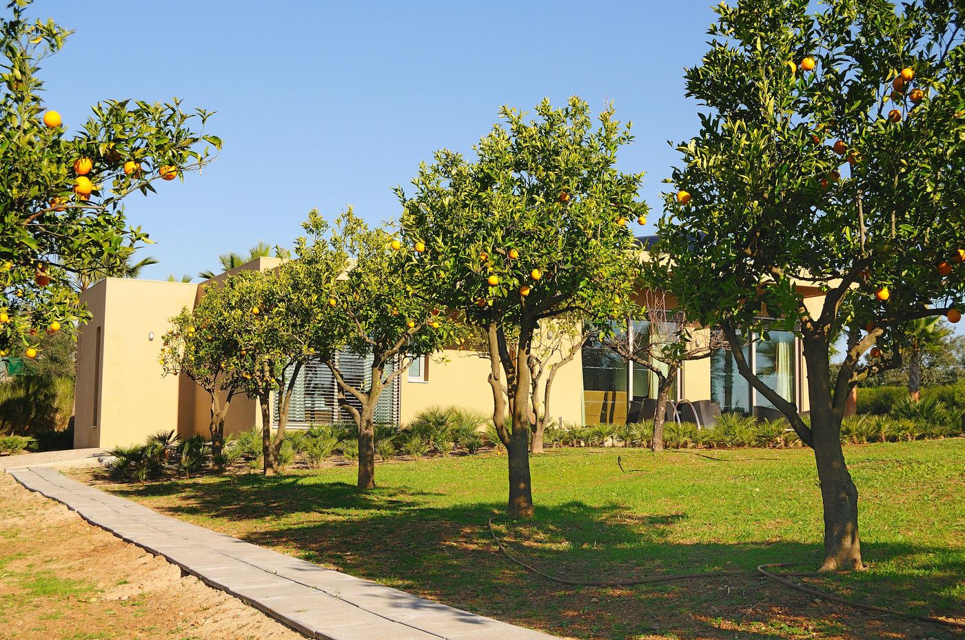 Montargil-Monte-Novo-General-view-24