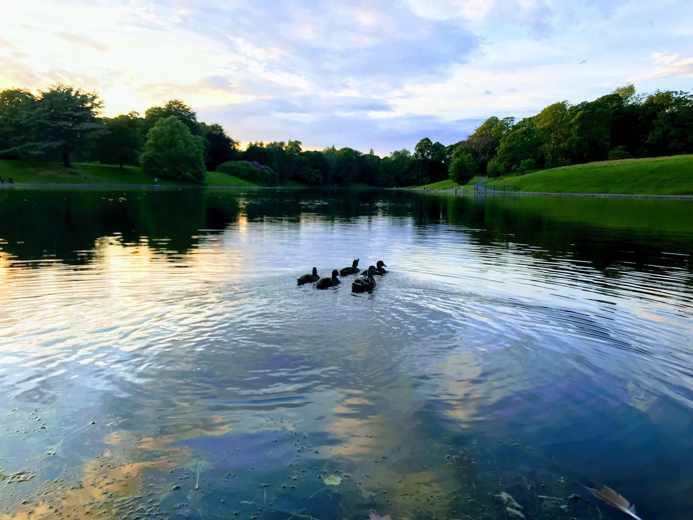 Sefton Park Hotel-United Kingdom-LIVERPOOL-General view-2