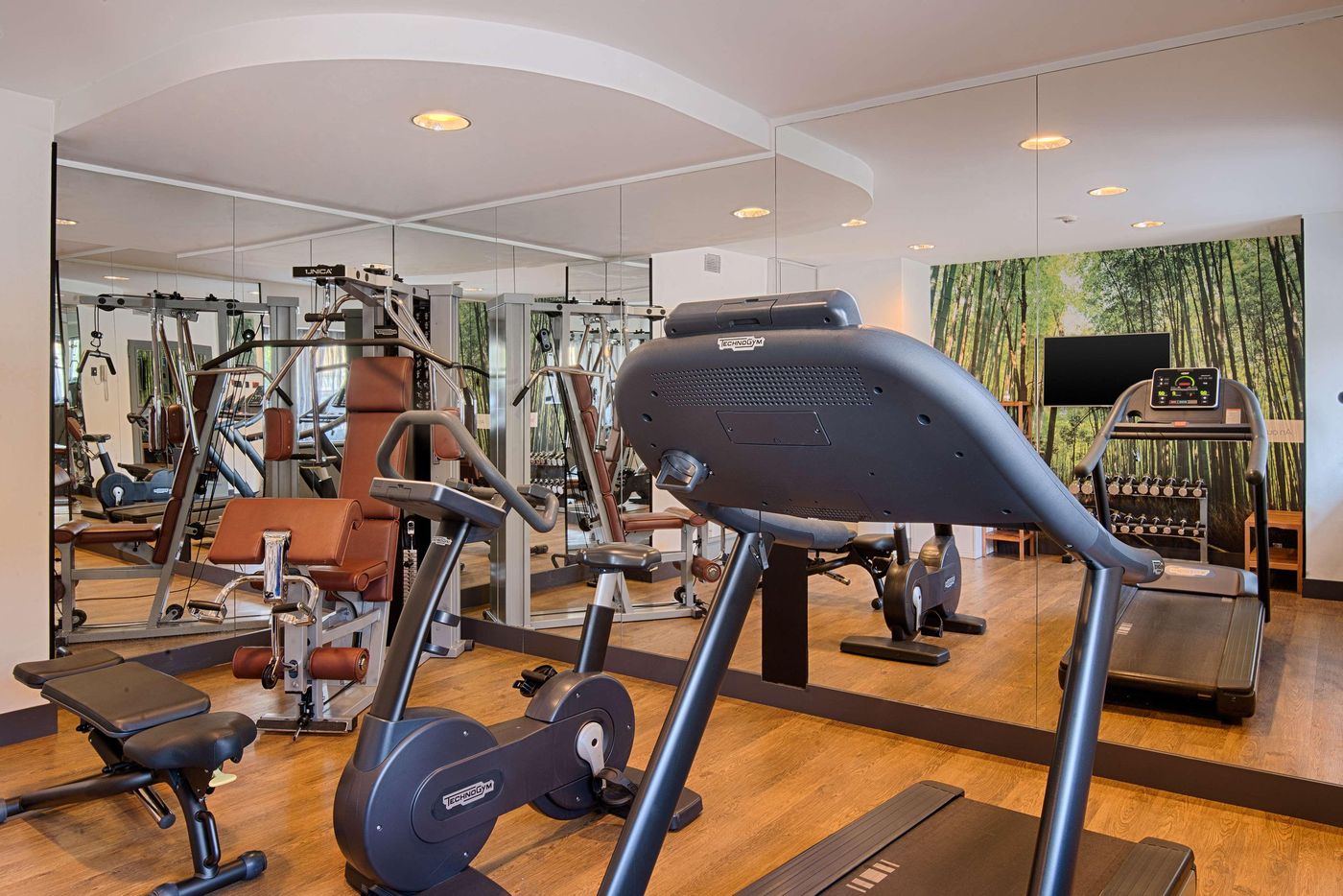 NH-Collection-Milano-Porta-Nuova-Sports-and-Entertainment-61