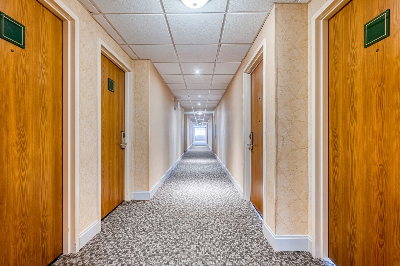 Super 8 by Wyndham Dallas Love Field Airport-United States-DALLAS-General view-4