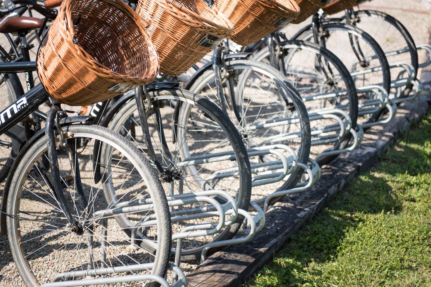 Mas-Sola-Sports-and-Entertainment-30