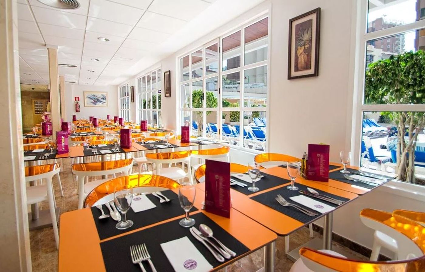 Servigroup Nereo - Adults Recommended