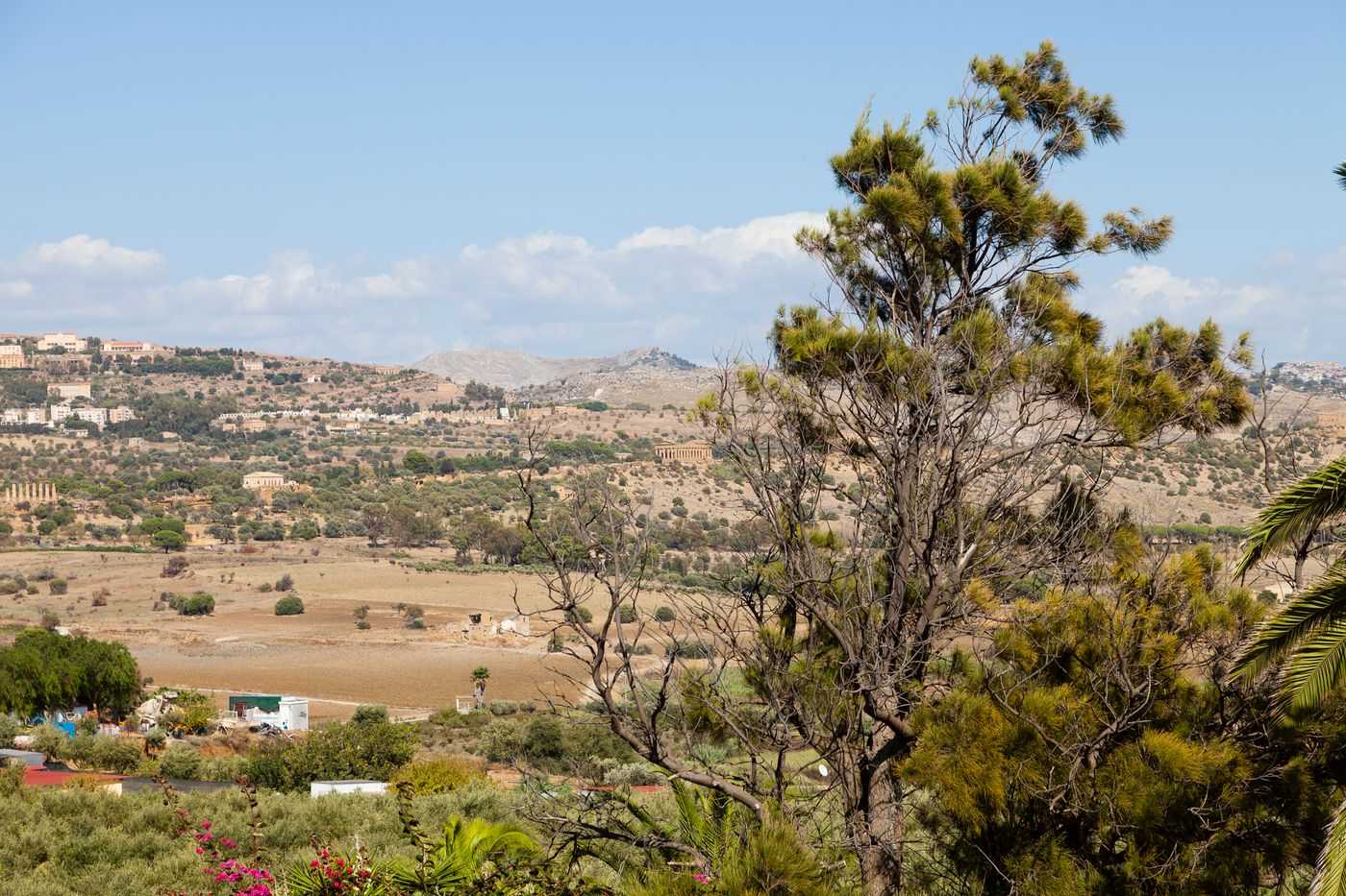Hotel-Foresteria-Baglio-della-Luna-Room-18