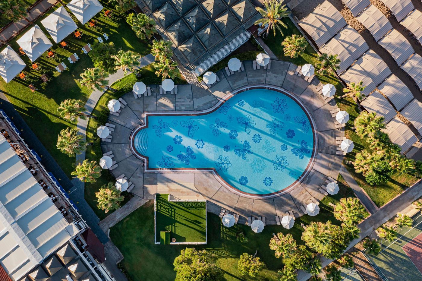 Papillon-Belvil-Pool-14