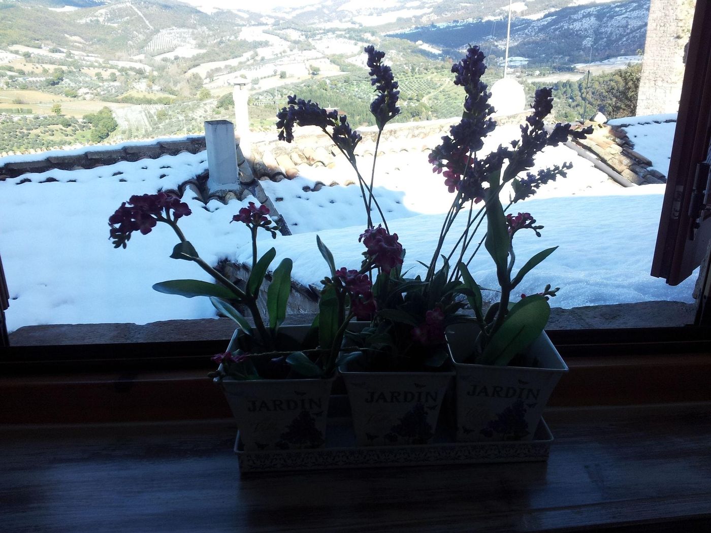 Bed And Breakfast A Casa Delle Fate-Italy-ASSISI-General view-5