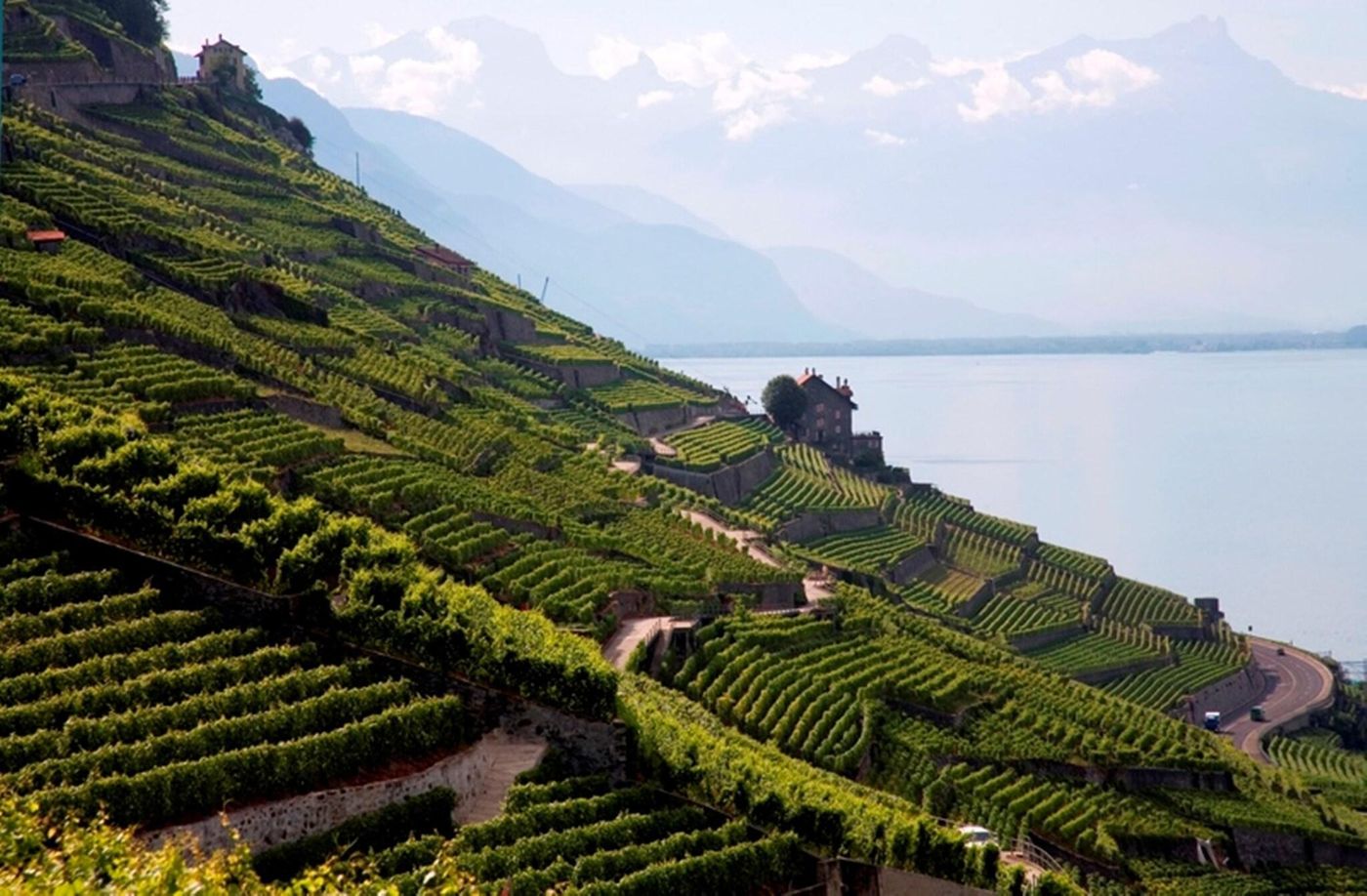Hotel Lavaux-Switzerland-Cully-General view-9