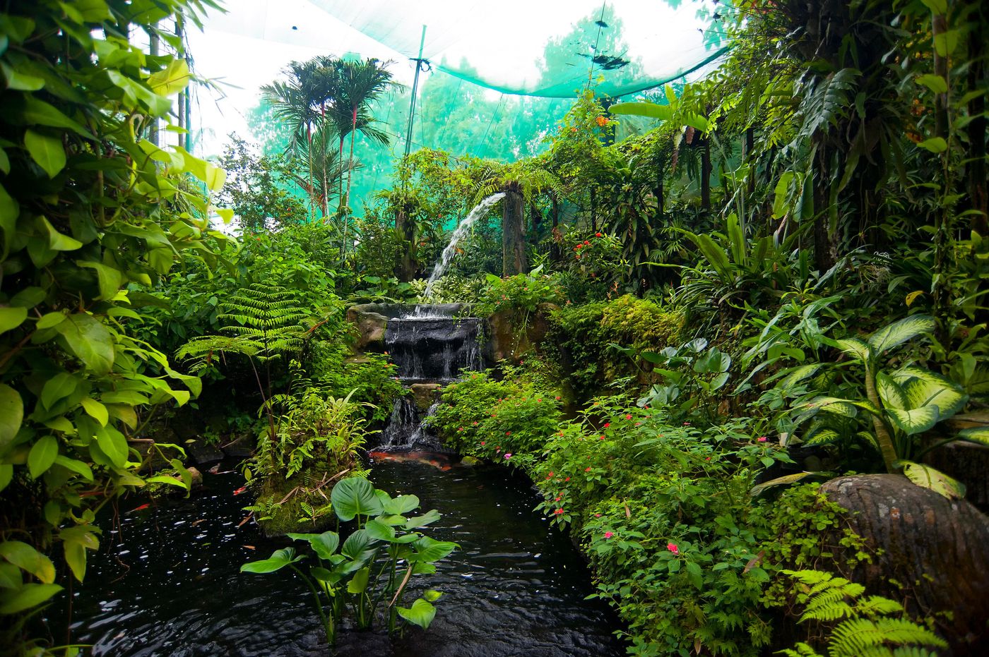 Holiday Inn Kuala Lumpur Bangsar-Malaysia-Kuala Lumpur-General view-4