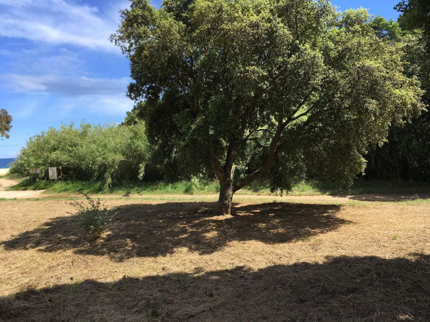Le-Clos-Des-Sept-Palmiers-General-view-71
