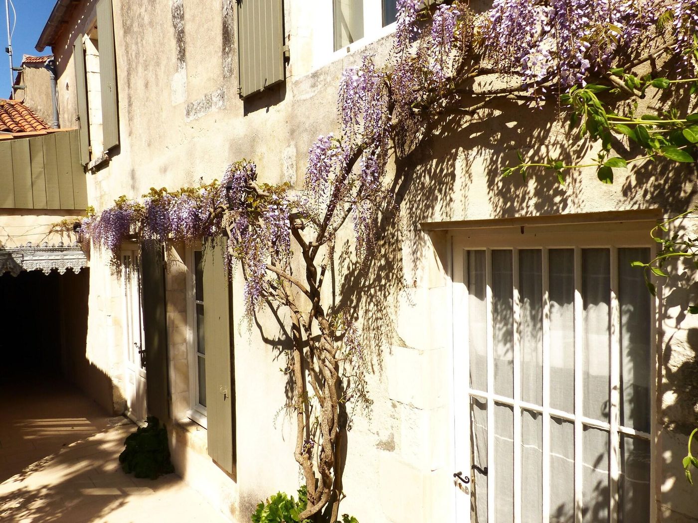 La Maison Douce-France-Saint Martin de Ré-General view-8