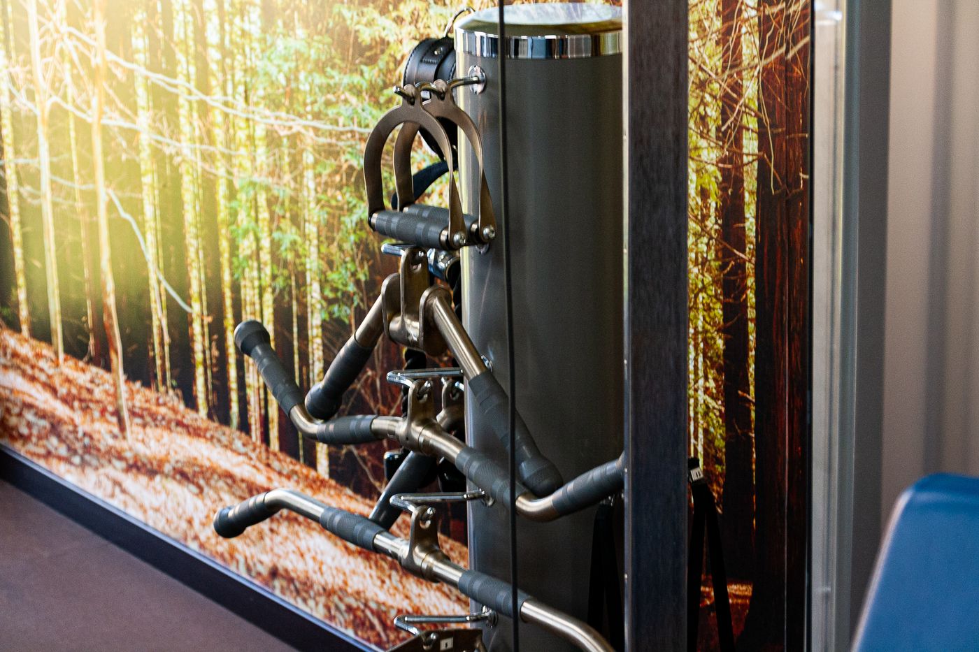 Pacoche-Murcia-Sports-and-Entertainment-55