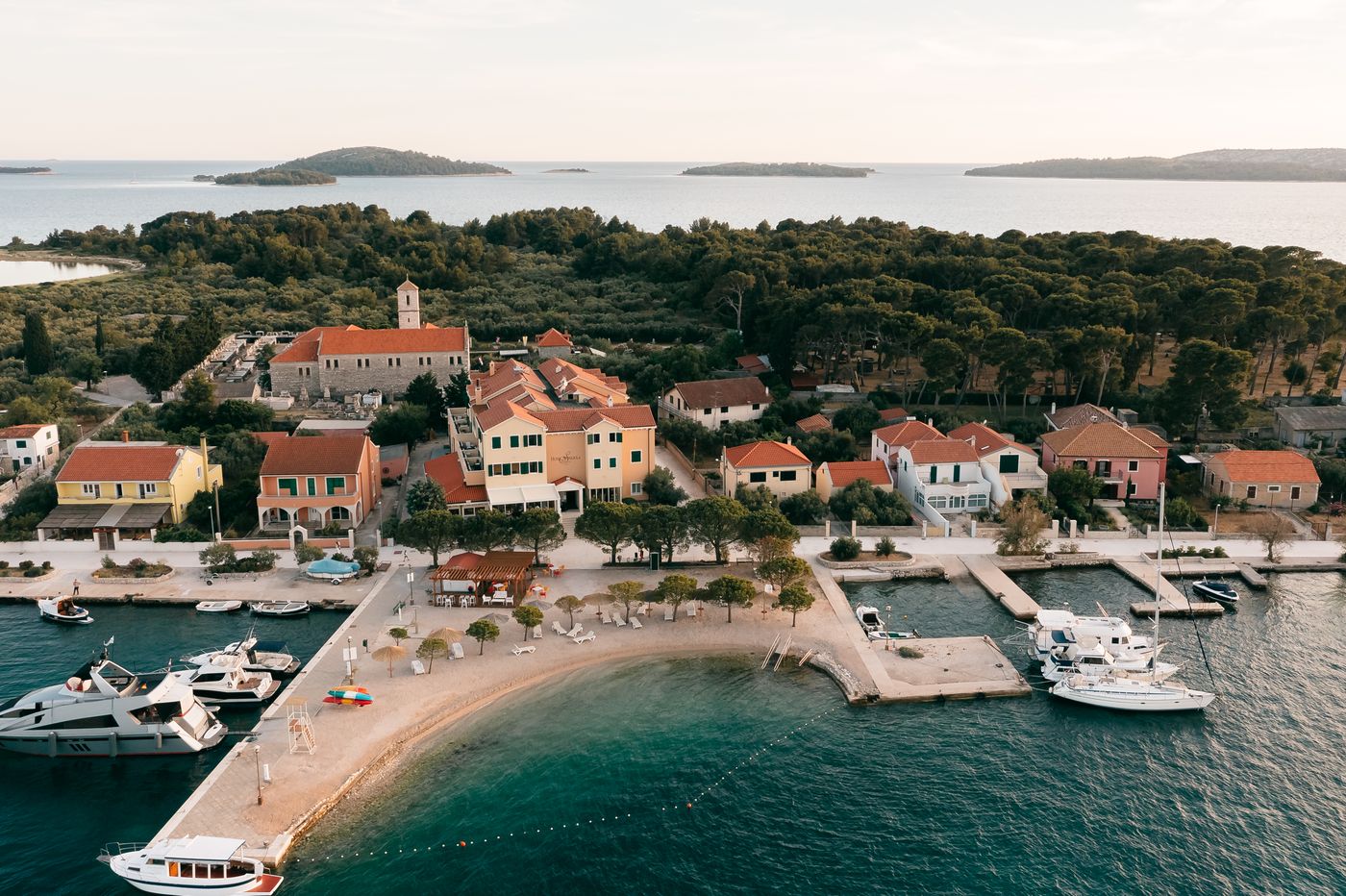 Spongiola-General-view-67