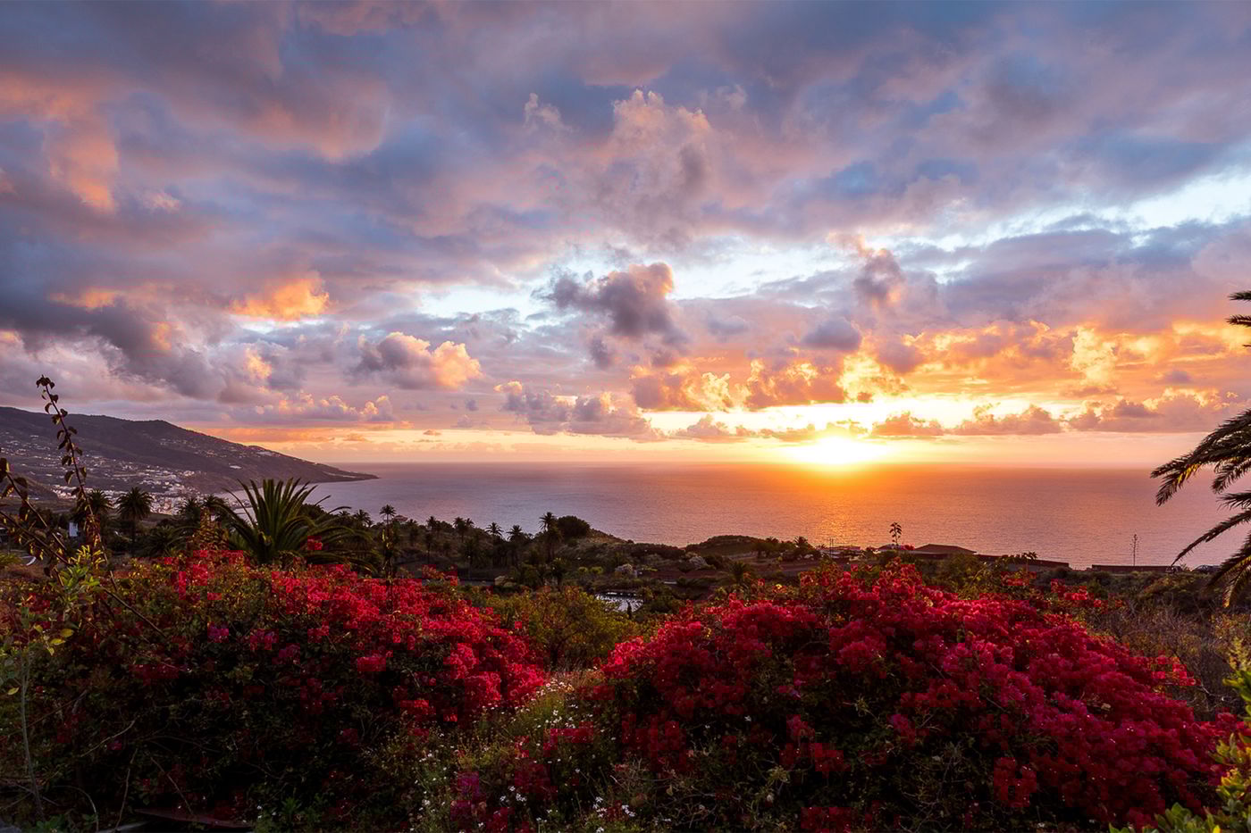 Parador-de-la-Palma-General-view-70