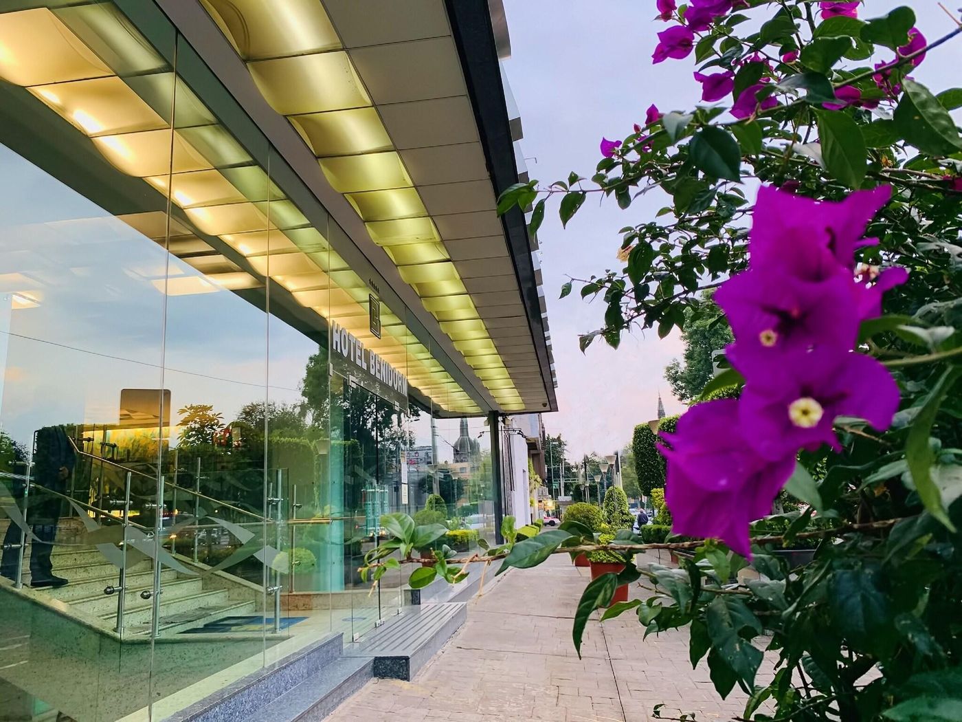 Benidorm-Mexico-MEXICO D.F.-General view-3