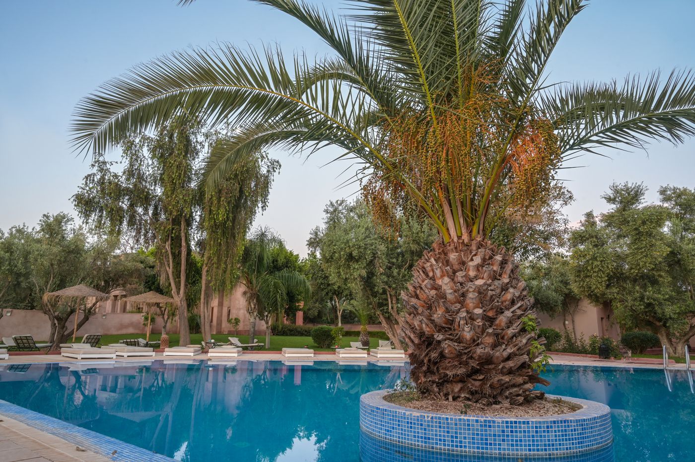 Riad-La-Maison-des-Oliviers-Pool-7