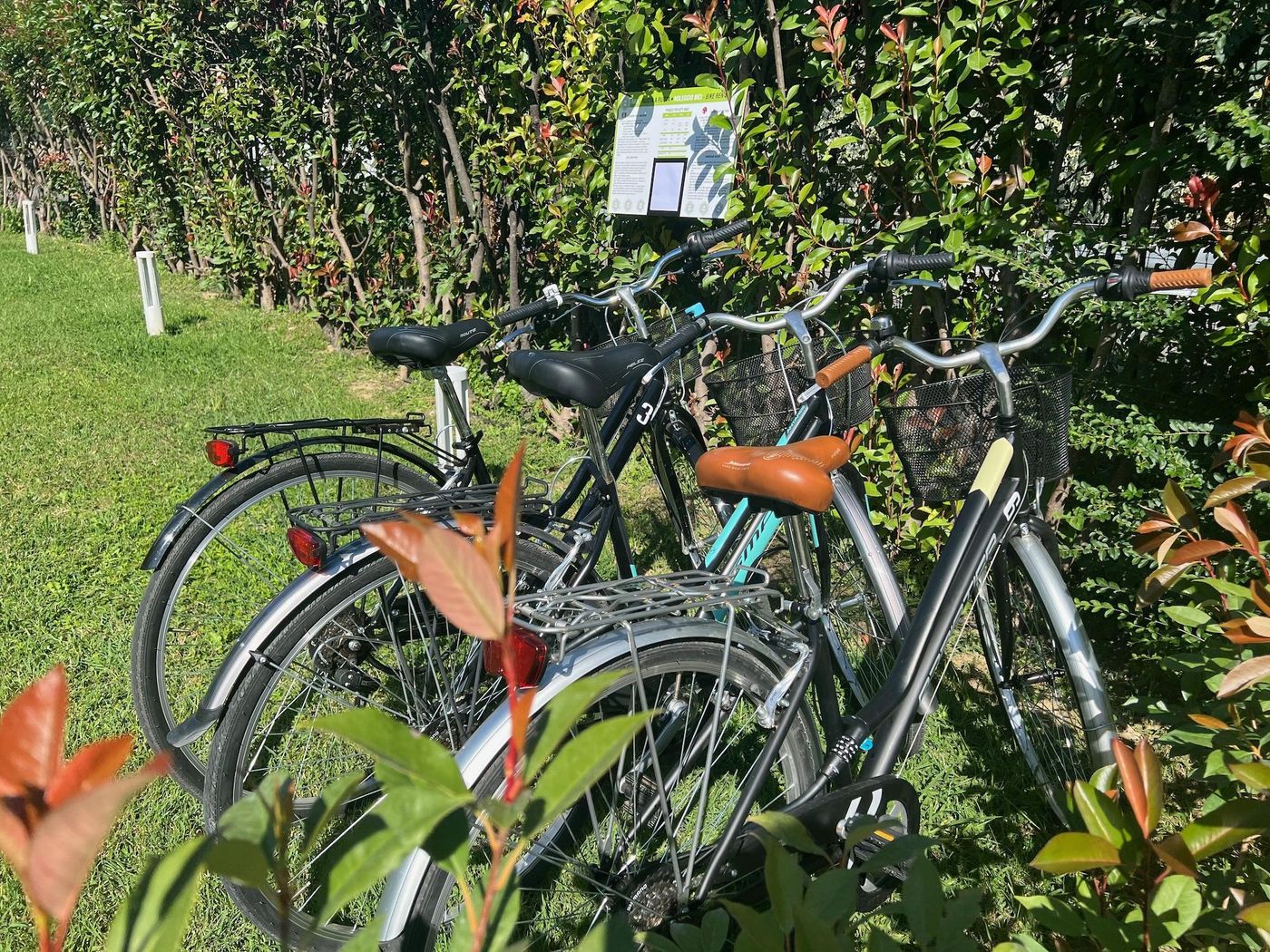 Verderame-Rooms---Suite-In-Lucca-Sports-and-Entertainment-9