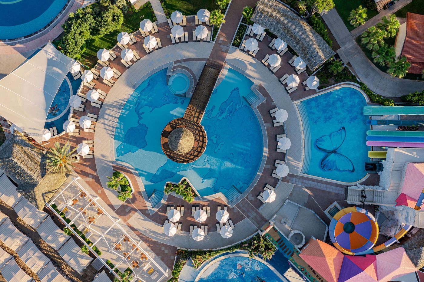 Papillon-Belvil-Pool-4