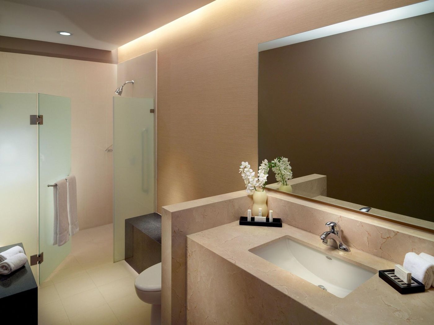 Courtyard Mexico City Airport-Mexico-Ciudad De Mexico-General view-1